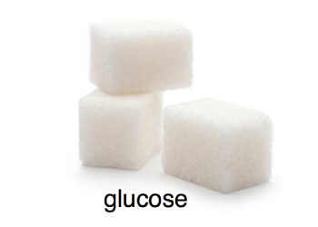 glucose