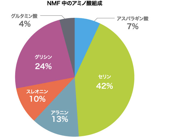 NMF中のアミノ酸組成